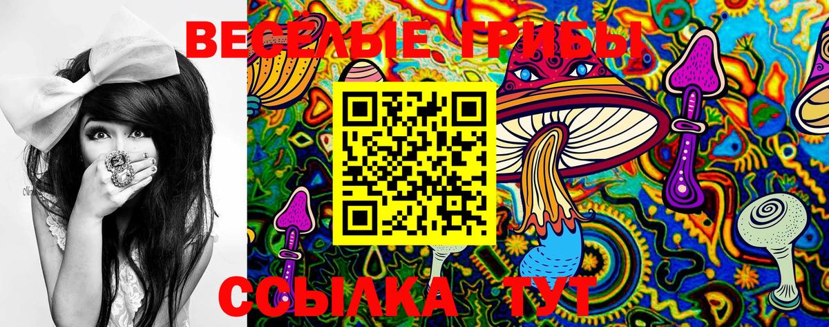 Галлюциногенные грибы MAGIC MUSHROOMS Чусовой