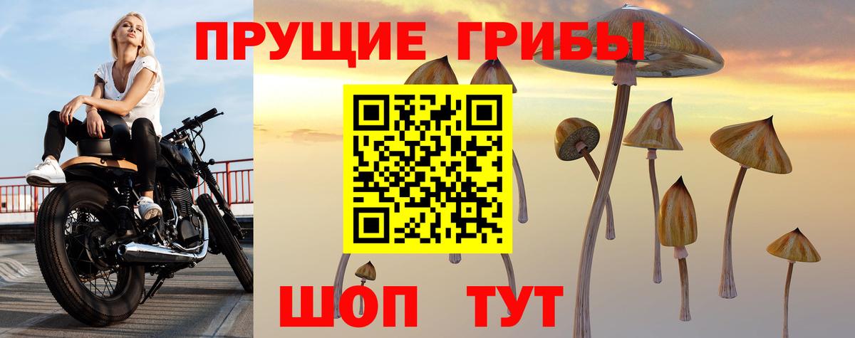 Чусовой  Псилоцибиновые грибы Cubensis  Вход с VPN 